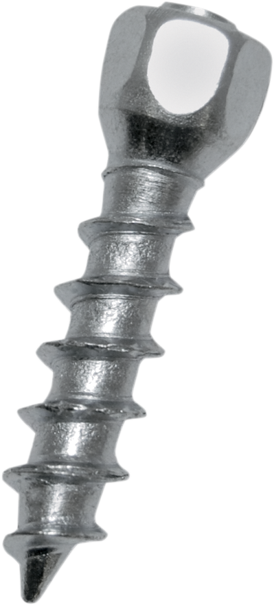 WOODY'S Twist Tire Screws - 25 mm - 500 Pack WST-0625-500