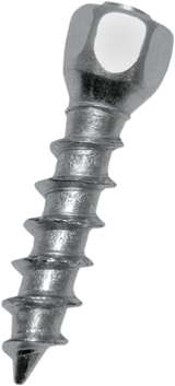 WOODY'S Twist Tire Screws - 25 mm - 500 Pack WST-0625-500