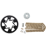 VORTEX Chain Kit - Gold CKG4103 - Moto Shop Service