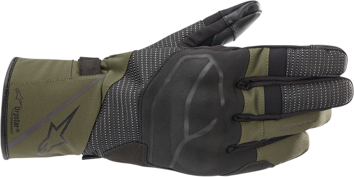 ALPINESTARS Andes V3 Drystar? Gloves - Black Forest - Large 3527521-1681-L