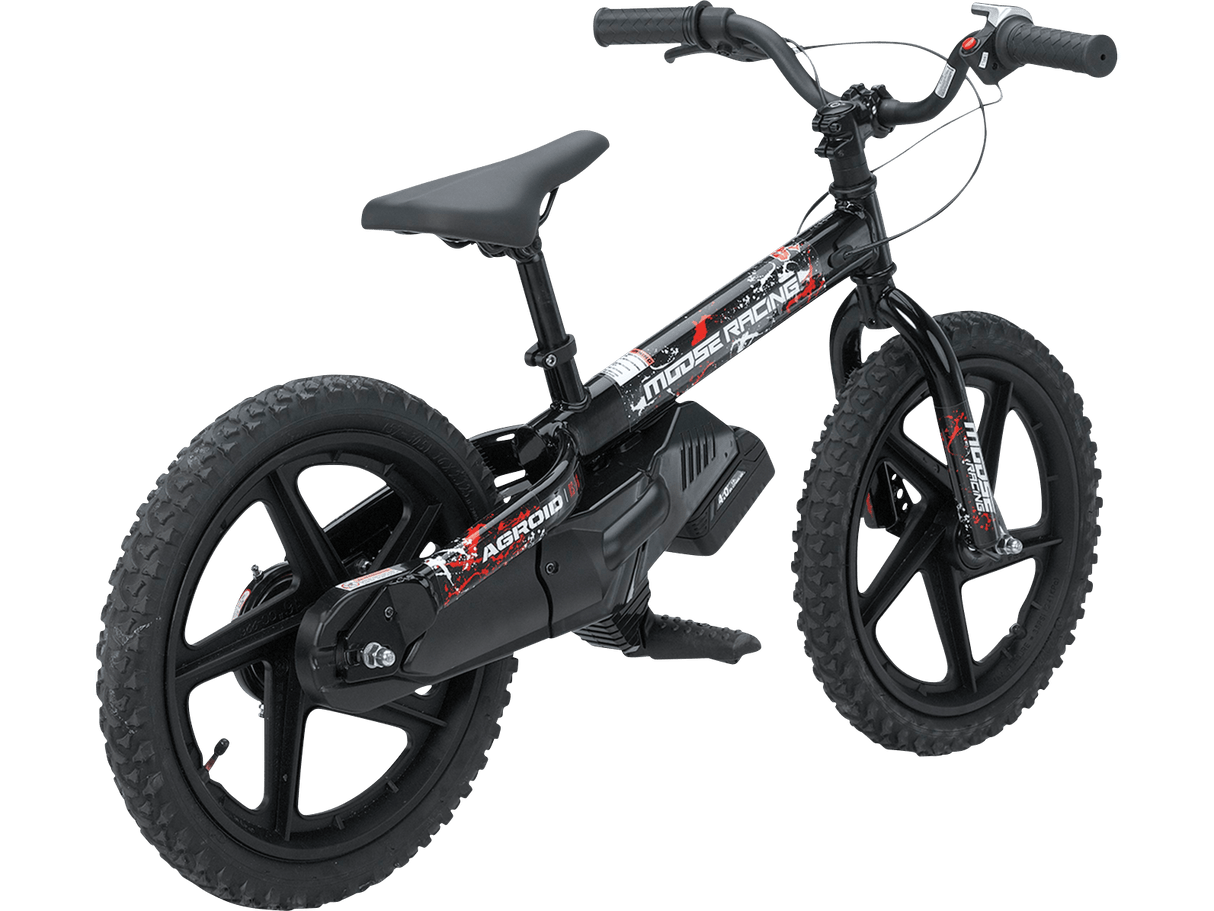 Agroid RS-16 Balance E-Bike