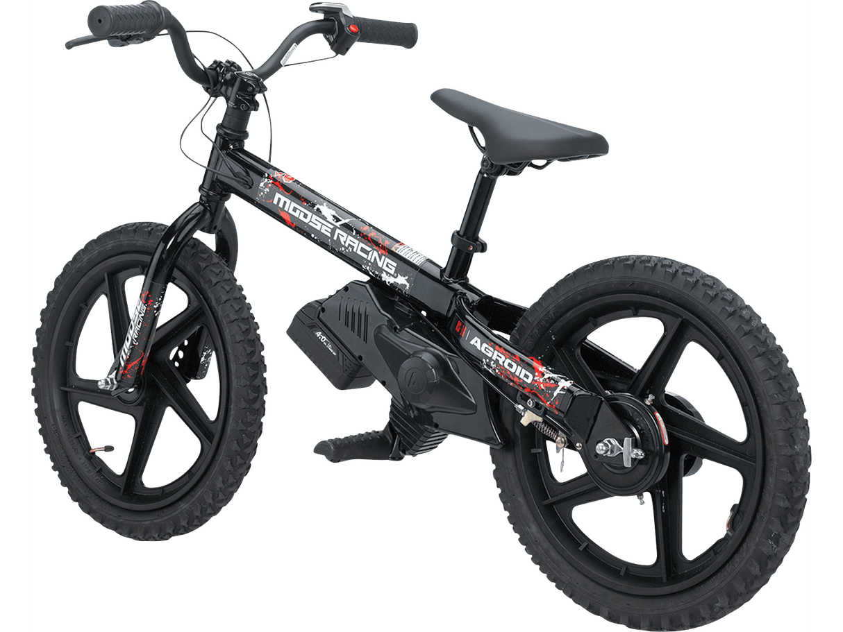 Agroid RS-16 Balance E-Bike