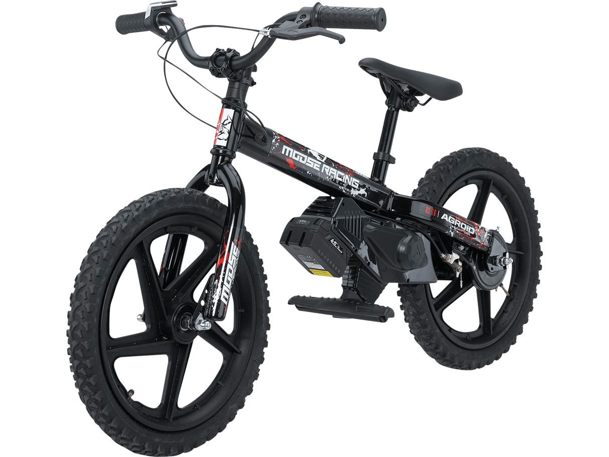 Agroid RS-16 Balance E-Bike