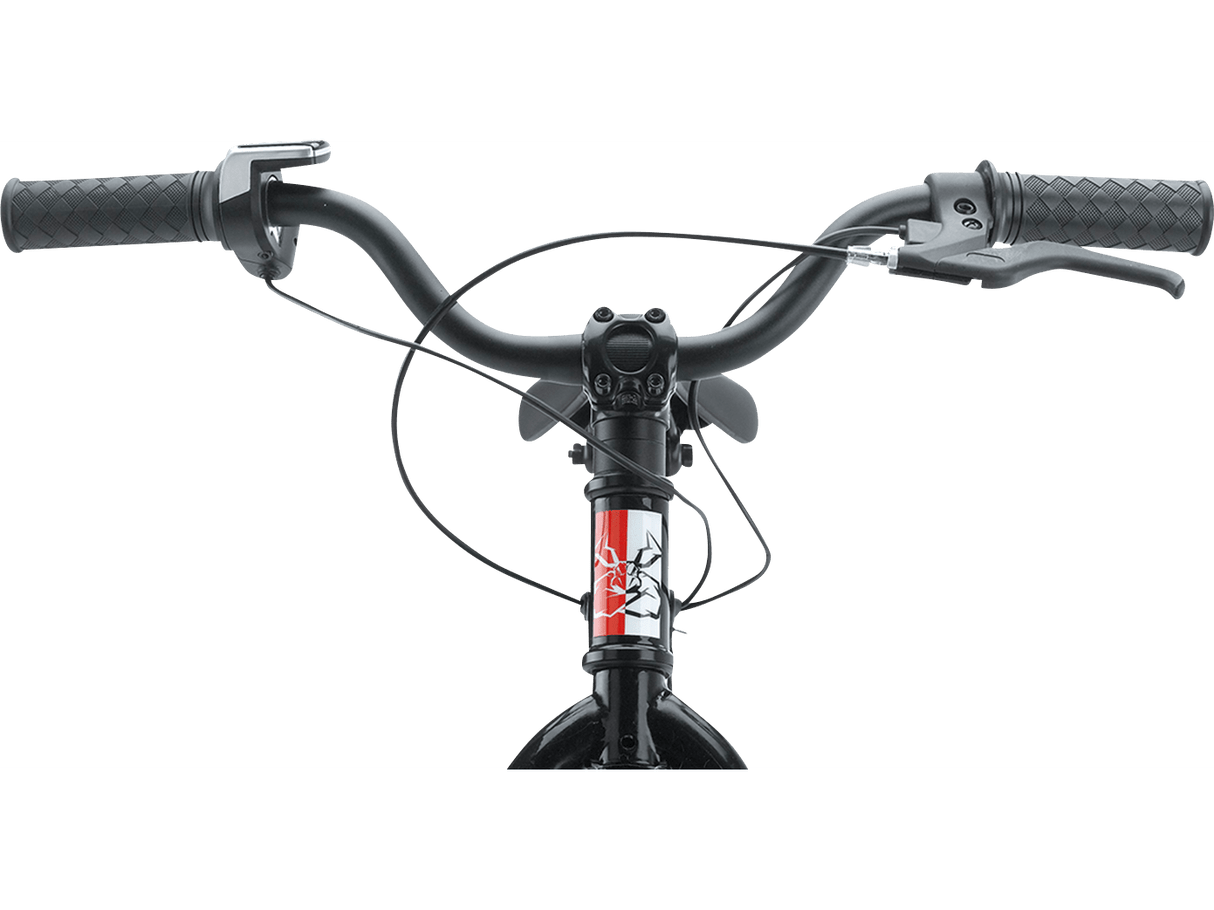 Agroid RS-16 Balance E-Bike