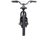 Agroid RS-16 Balance E-Bike