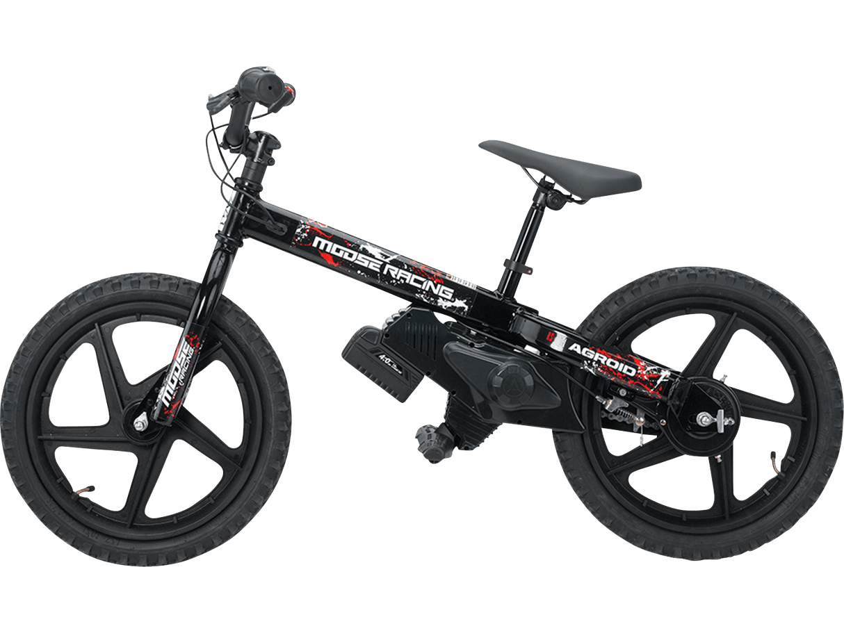 Agroid RS-16 Balance E-Bike