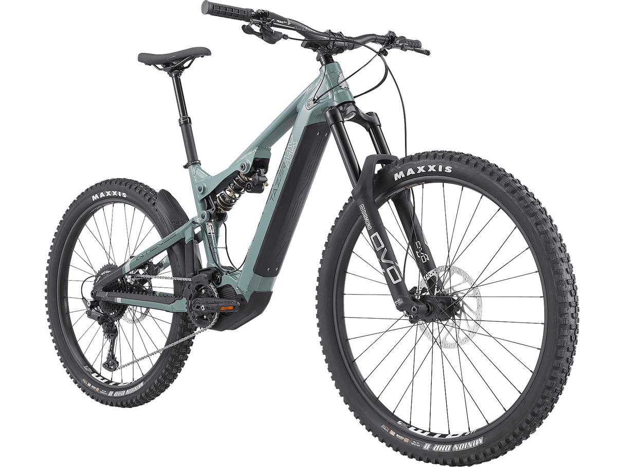 Tazer MX Alloy Expert Build E-Bike