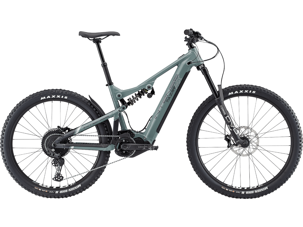 Tazer MX Alloy Expert Build E-Bike